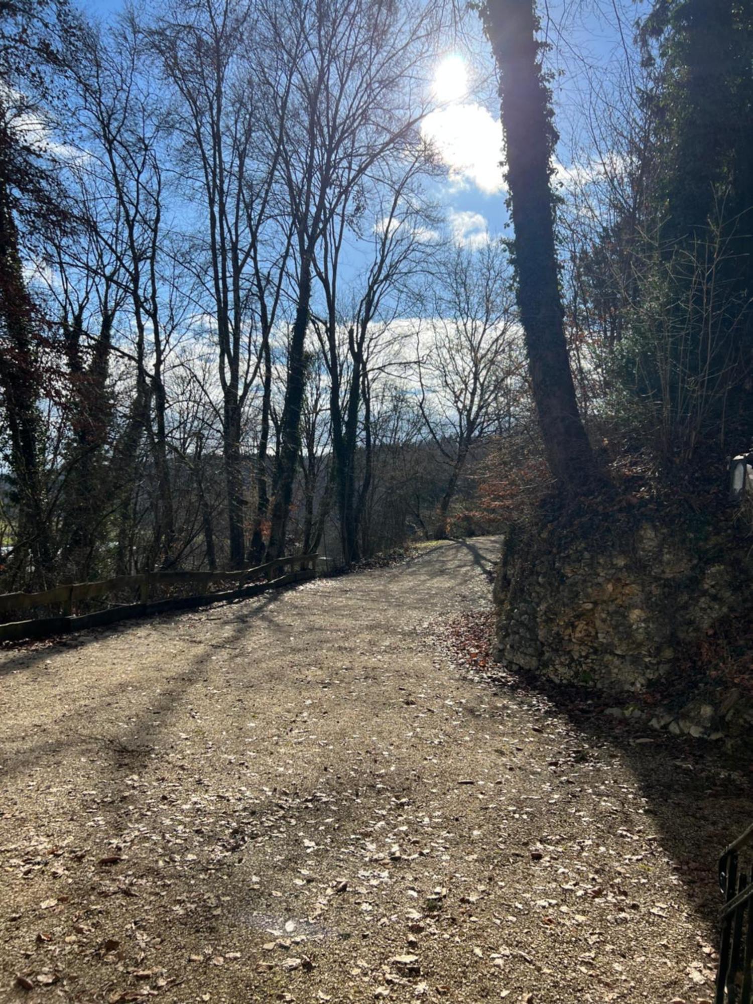 Schloss Suggenstein Sigmaringen Esterno foto